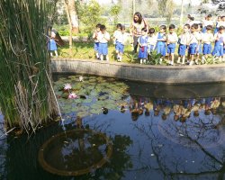 Field Trips and Excursions