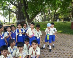 Field Trips and Excursions