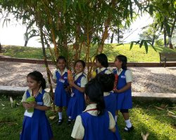 Field Trips and Excursions