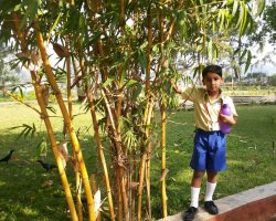 Field Trips and Excursions