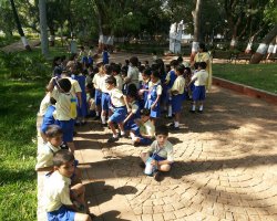 Field Trips and Excursions