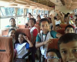 Field Trips and Excursions