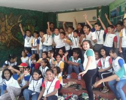 Field Trips and Excursions