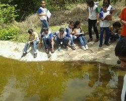 Field Trips and Excursions