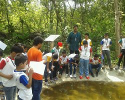 Field Trips and Excursions