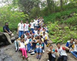 Field Trips and Excursions