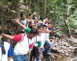 Field Trips and Excursions