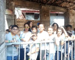 Std V - Essel World Amusement Park