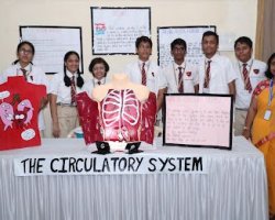 Science Exhibition at GSIS 2022-23