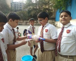 Stem Competition