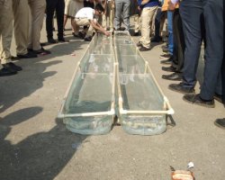 Stem Competition